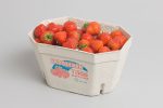 Berries 11003 Pulp Tray NNZ DE